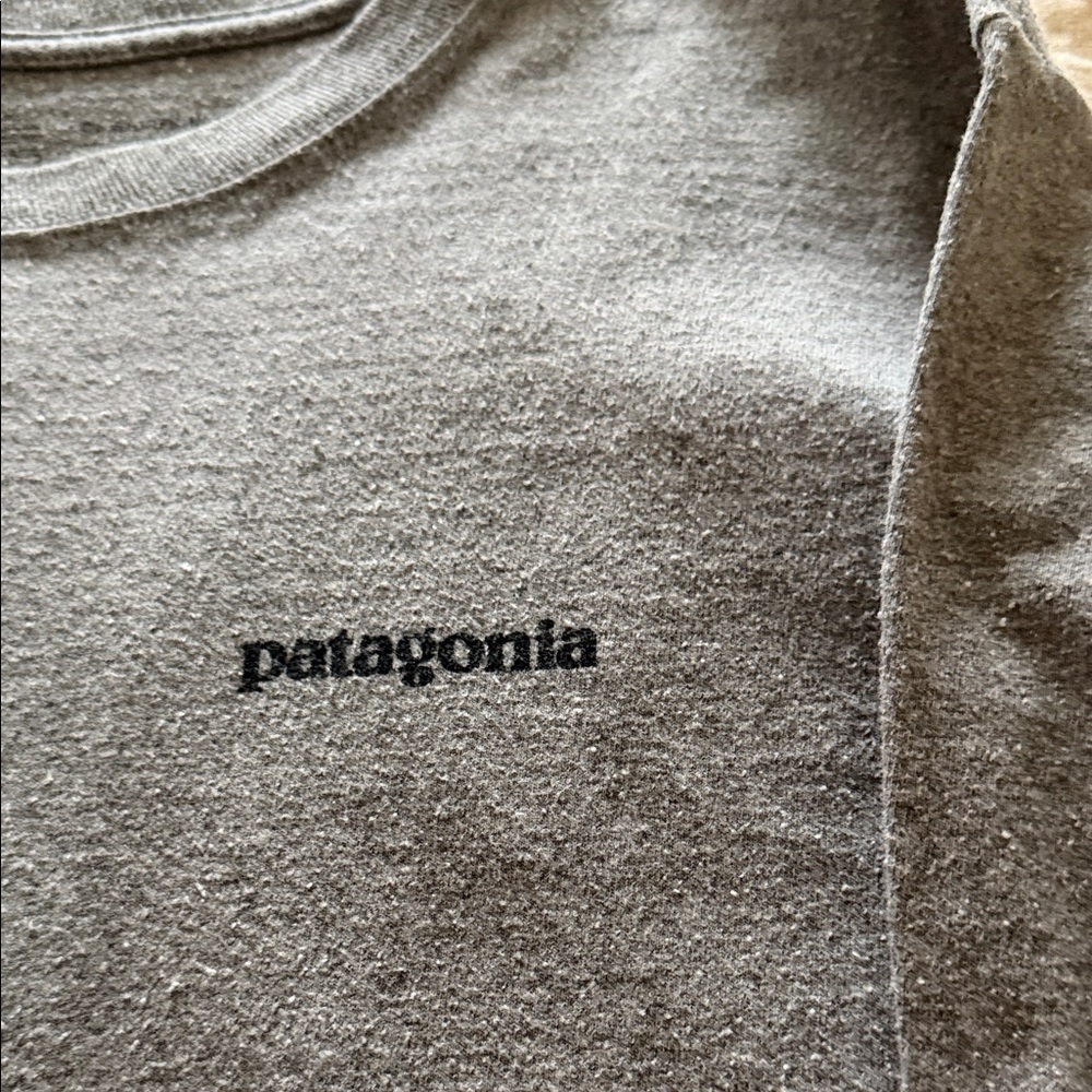 Patagonia Heather Gray Long Sleeve Tee